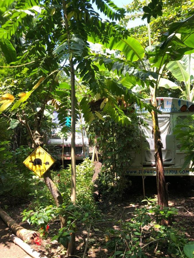 Las Pilas Rainbow Caravan Hostel מראה חיצוני תמונה