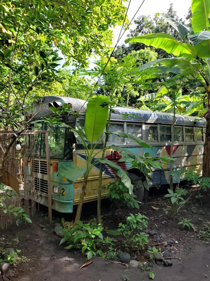 Las Pilas Rainbow Caravan Hostel מראה חיצוני תמונה
