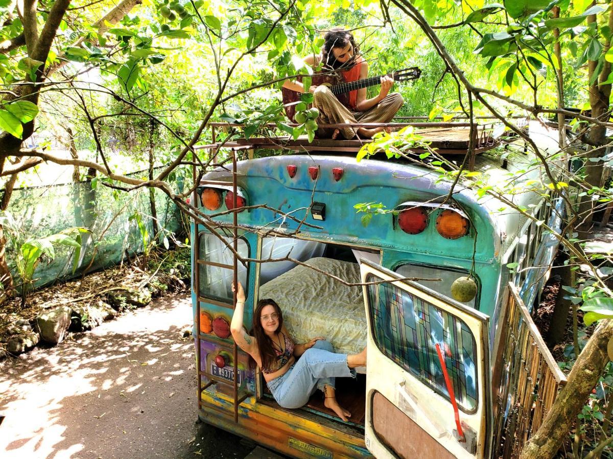 Las Pilas Rainbow Caravan Hostel מראה חיצוני תמונה
